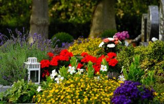 No Property in a Corpse